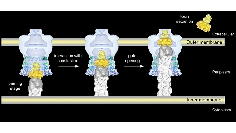 Figure 12