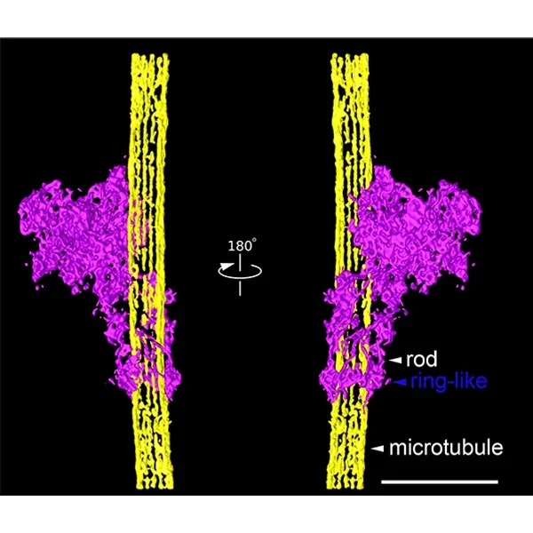 Figure 13
