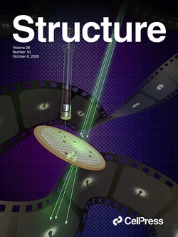 Structure, vol. 28, no. 10 cover art