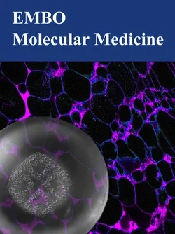  EMBO Molecular Medicine, vol. 4, no. 1 cover art