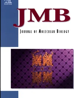 JMB Journal of Molecular Biology vol. 342, no. 4 cover art