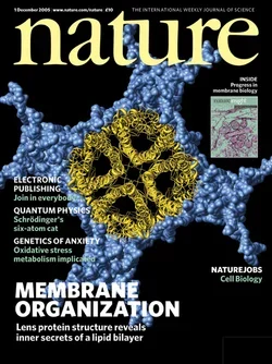 Nature, vol. 438, no. 7068 cover art