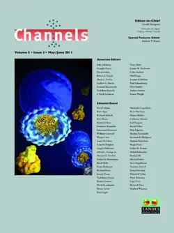 Channels (Austin), vol. 5, no. 3 cover art