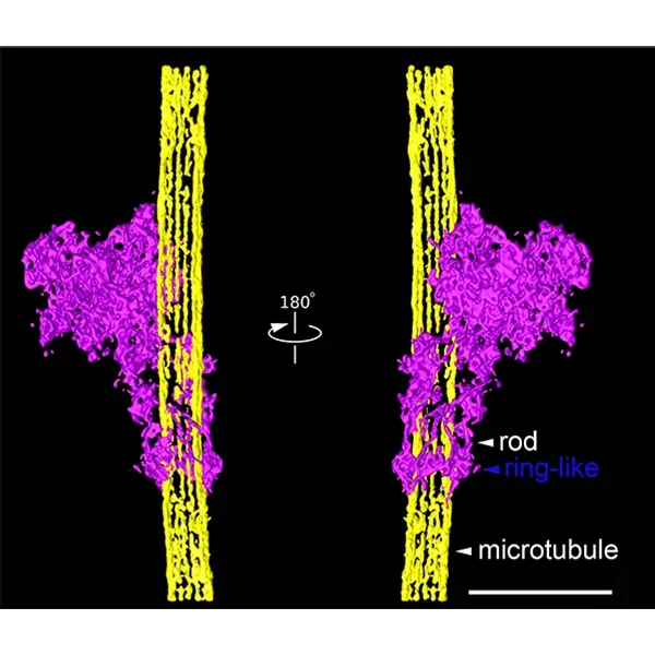 Figure 13