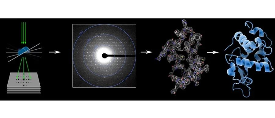 Figure 9